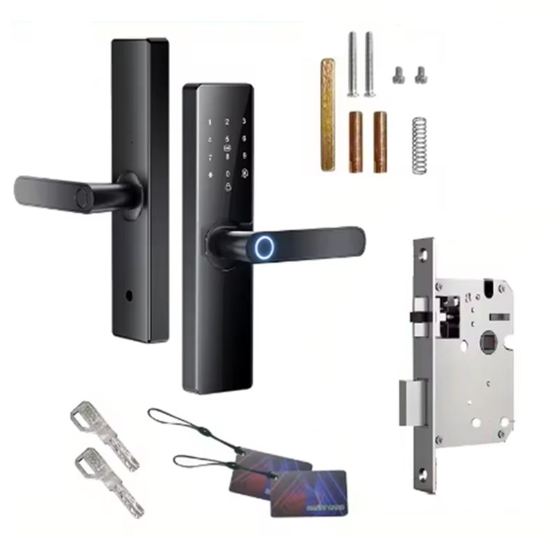 Smart Door Lock Wifi - [NOUVEAU A09R!】 Serrure de porte numérique
