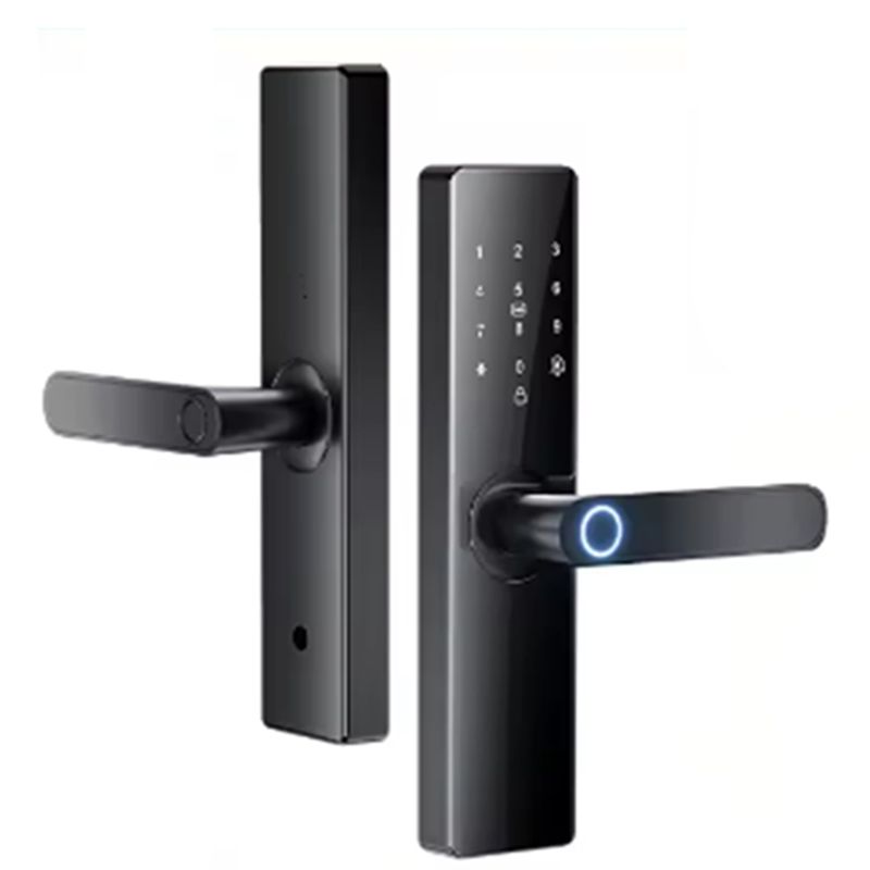 [NOUVEAU A09R!】 Serrure de por - Smart Door Lock Wifi avis et prix